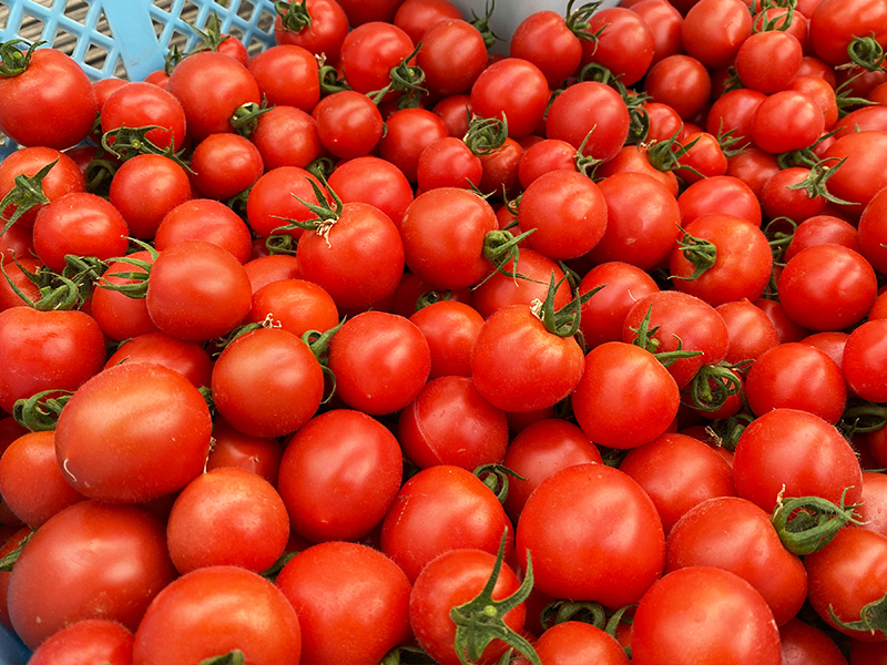 プリングトマト（中玉）送料込